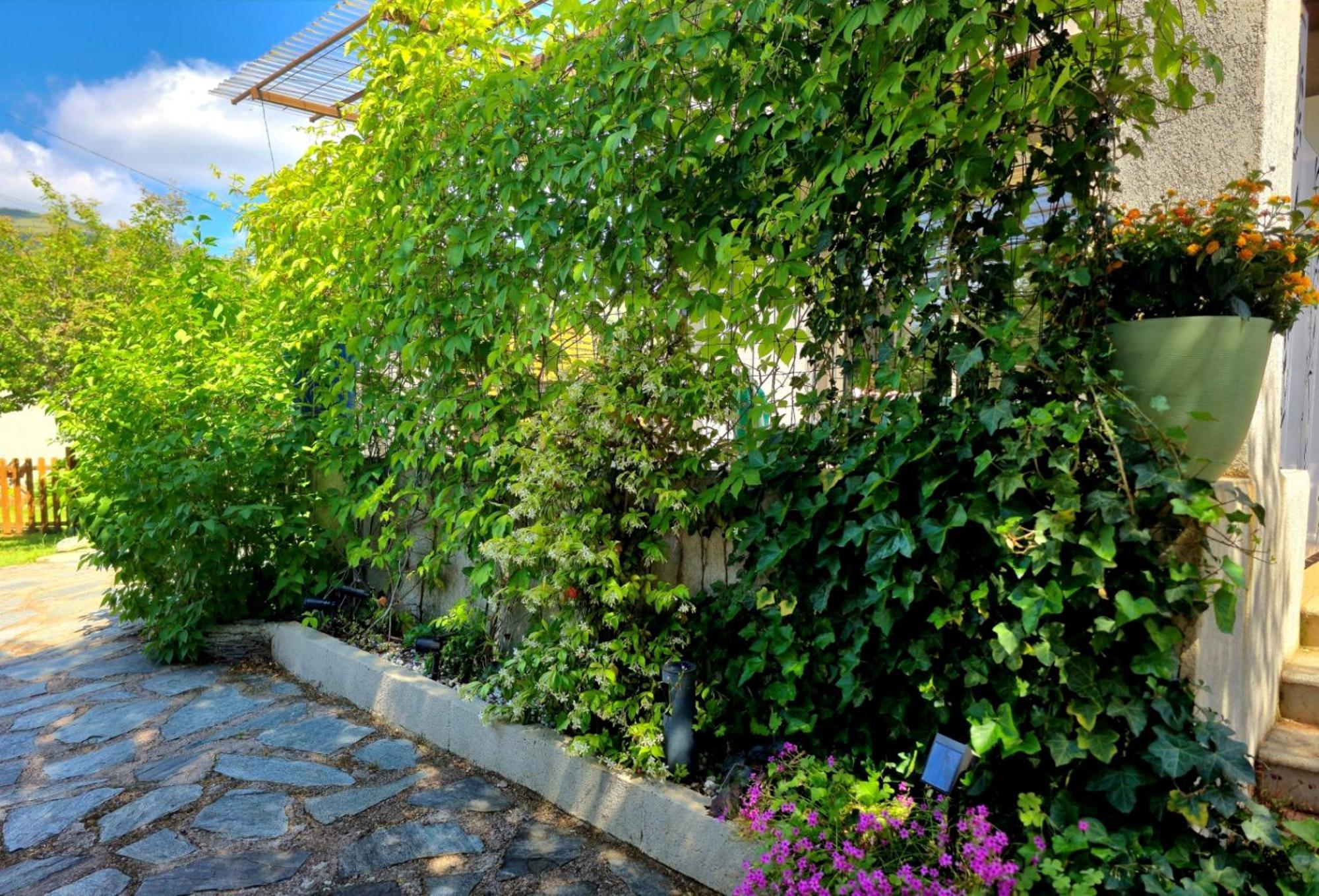 Bed & Breakfast O Fil De L'eau